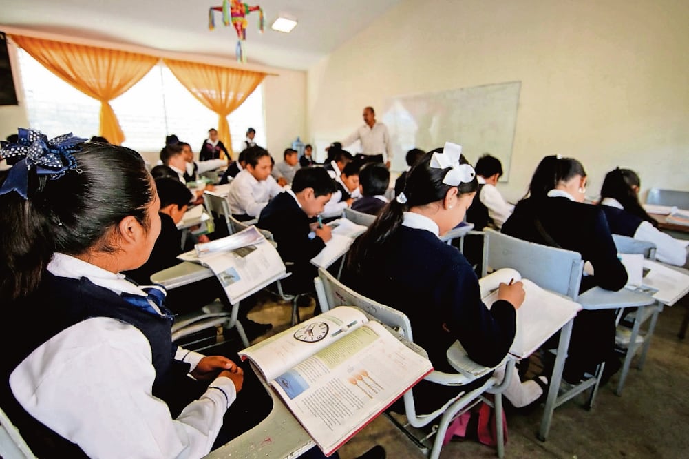 La Sección 18 de la CNTE en Michoacán asegura que va a repartir, en el próximo ciclo escolar, 48 libros de texto —28 de primaria y 20 de secundaria— en 6 mil escuelas públicas del estado. Foto: ARCHIVO. EL UNIVERSAL