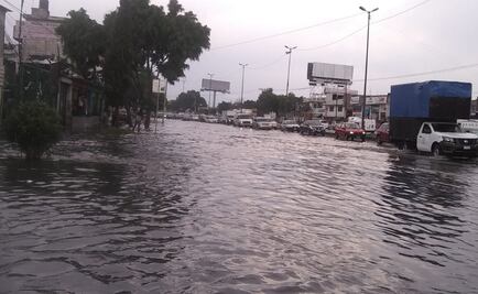 Tres árboles caídos y 2 anegaciones, saldo de lluvias este miércoles en CDMX