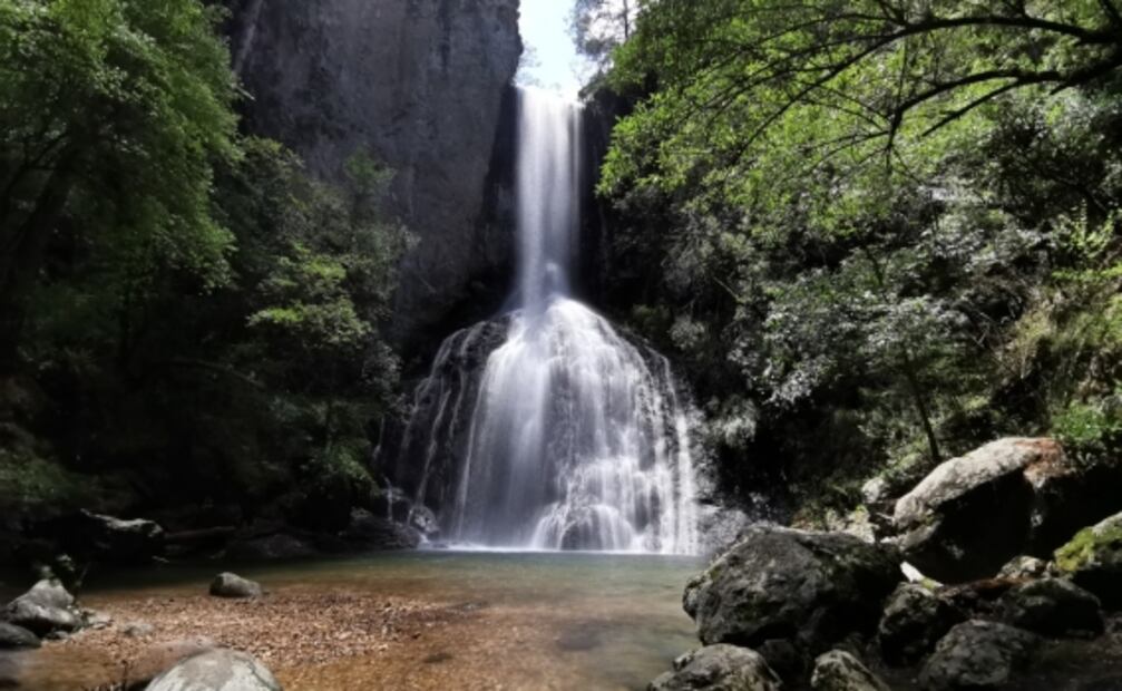 5 parques ecoturísticos cerca de CDMX