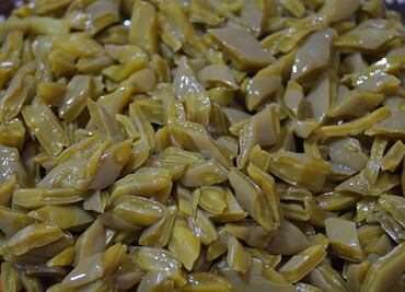 Cocina con nopal y agrega más beneficios a tus alimentos