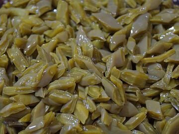 Cocina con nopal y agrega más beneficios a tus alimentos