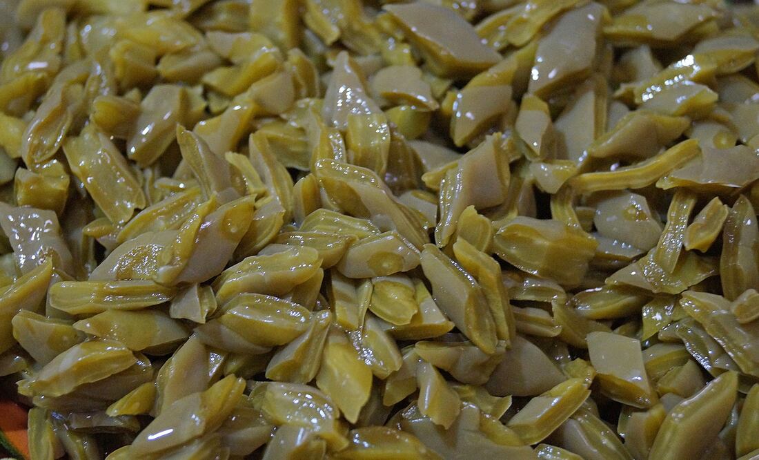 Los nopales son una fuente extraordinaria de fibra (Crédito: Pixabay)