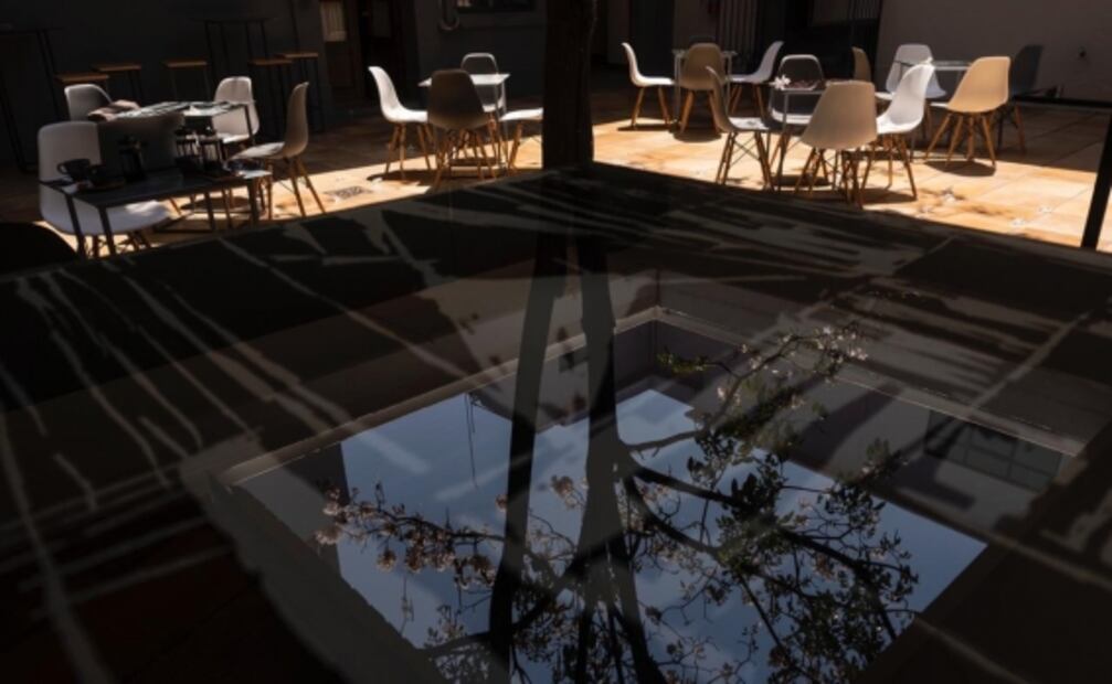 Pese a pandemia, empresarios apuestan por Oaxaca para invertir en la cultura 