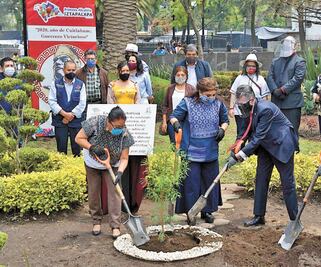 Plantan árbol para festejar la “Noche Victoriosa”