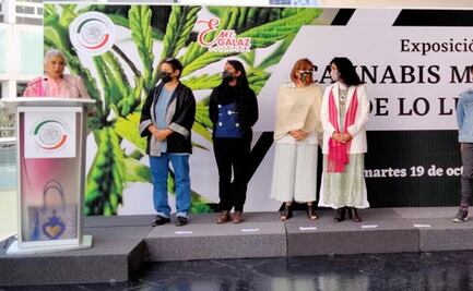 Se debe terminar con la prohibición sobre el uso de la marihuana: Sánchez Cordero