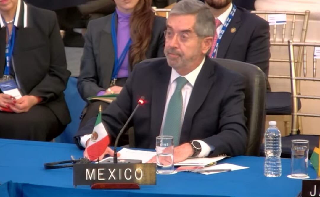 Juan Ramón de la Fuente, secretario de Relaciones Exteriores. Foto: Especial