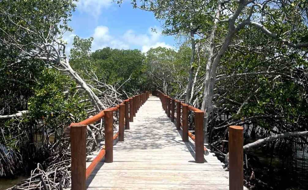 El proyecto, vinculado al Tren Maya, busca construir infraestructura turística, como muelles, zonas comerciales y áreas recreativas, dentro de la Reserva de la Biosfera de Sian Ka’an. (20/10/25) Foto: Especial
