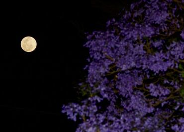 ¿Cuándo y cuáles son los eventos astronómicos de febrero?