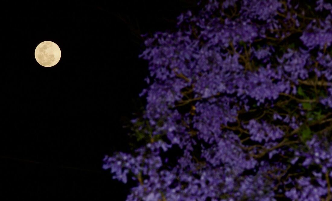 Con un entorno adecuado, buenas aplicaciones y técnicas fotográficas sencillas, cualquiera puede vivir esta experiencia astronómica Foto: Germán Espinosa. EL UNIVERSAL