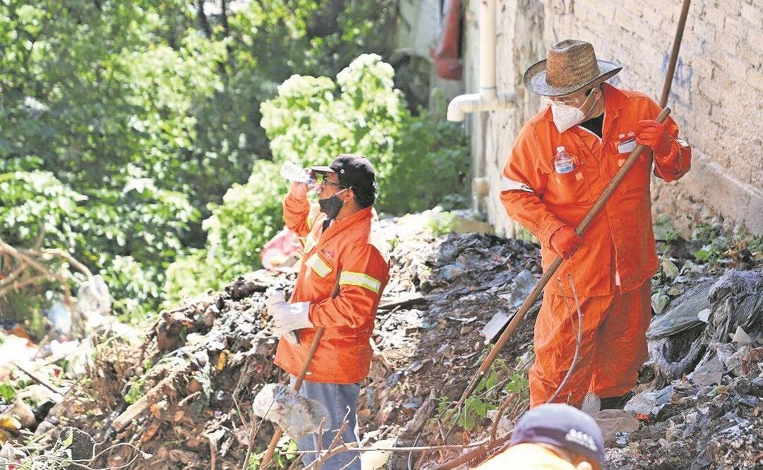Jornada de limpieza en la barranca Río Mixcoac. Foto: Especial