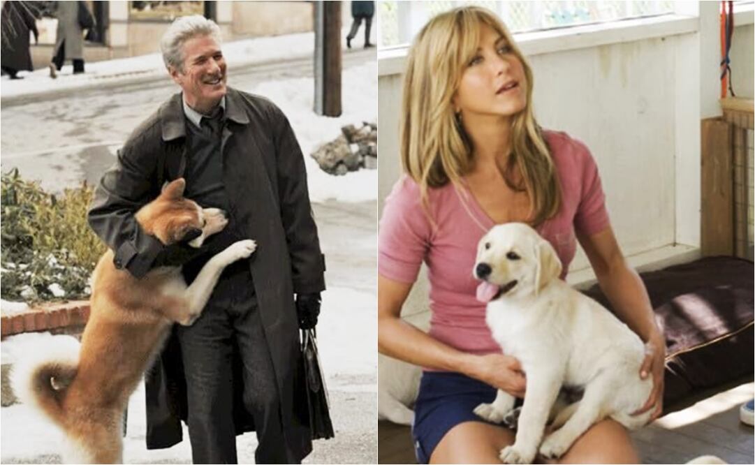 El rendimiento, en taquillas, en las películas con temáticas caninas suele ser muy exitoso.
Fotos: IMDb