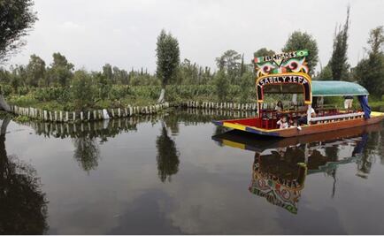 International chefs debate about biodiversity in Xochimilco
