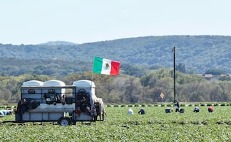 El campo, el sector con mayor apetito eléctrico en México hacia 2038