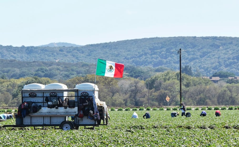 La estrategia impulsada por la gobernadora Margarita González Saravia es convertir al estado Morelos en el primer estado agroecológico del país. Foto: iStock
