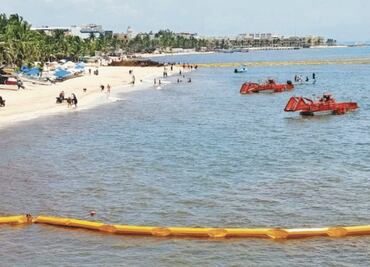 Limpian “marea café” a marchas forzadas