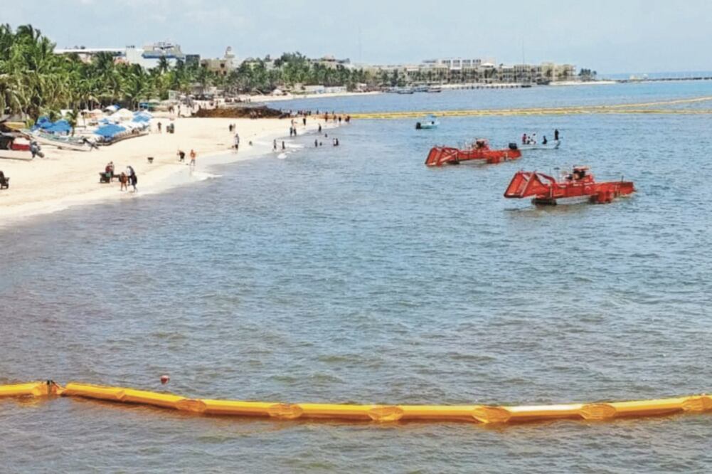 Con palas, rastrillos y embarcaciones especiales, trabajadores del ayuntamiento de Solidaridad retiran las macroalgas flotantes. Foto: ADRIANA VARILLAS. EL UNIVERSAL