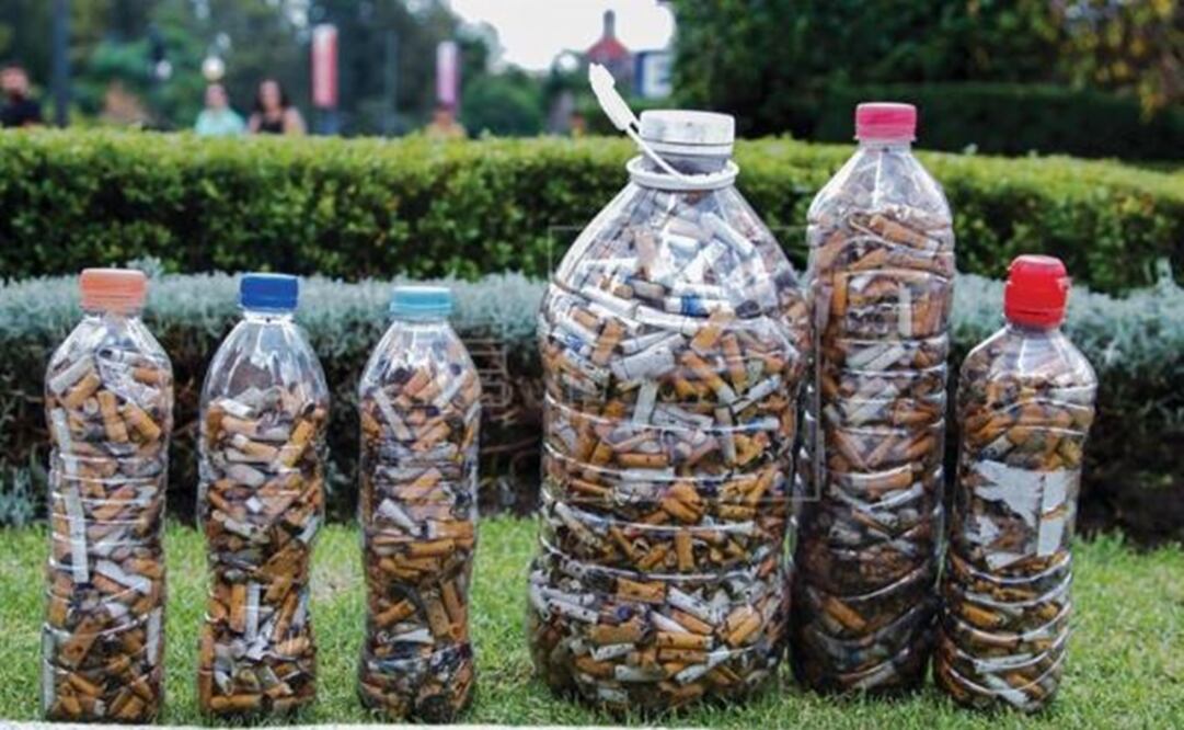 La finalidad del proyecto es revolucionar el área de papel en México ante la ausencia de una industria sólida. (FOTO: UNITEC)