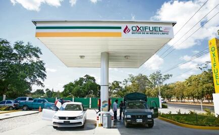 Gasoline price hike encourages biofuels in Oaxaca