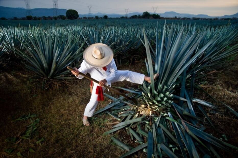 Guía de viaje al Pueblo Mágico de Tequila