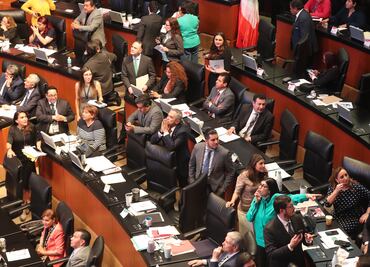 Morena pedirá información sobre parcelación de bosques y selvas en el país