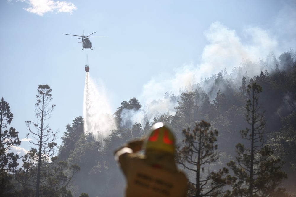 Gobierno de Milei acusa de “terrorismo” a presuntos responsables de incendios en Patagonia. Foto: AFP/Archivo