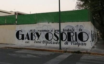 Denuncian ante el IECM a diputada de Morena por promocionar su nombre en bardas del Colegio Rébsamen