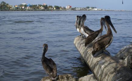 Chubascos con tormentas se esperan en oriente, centro y sureste del país