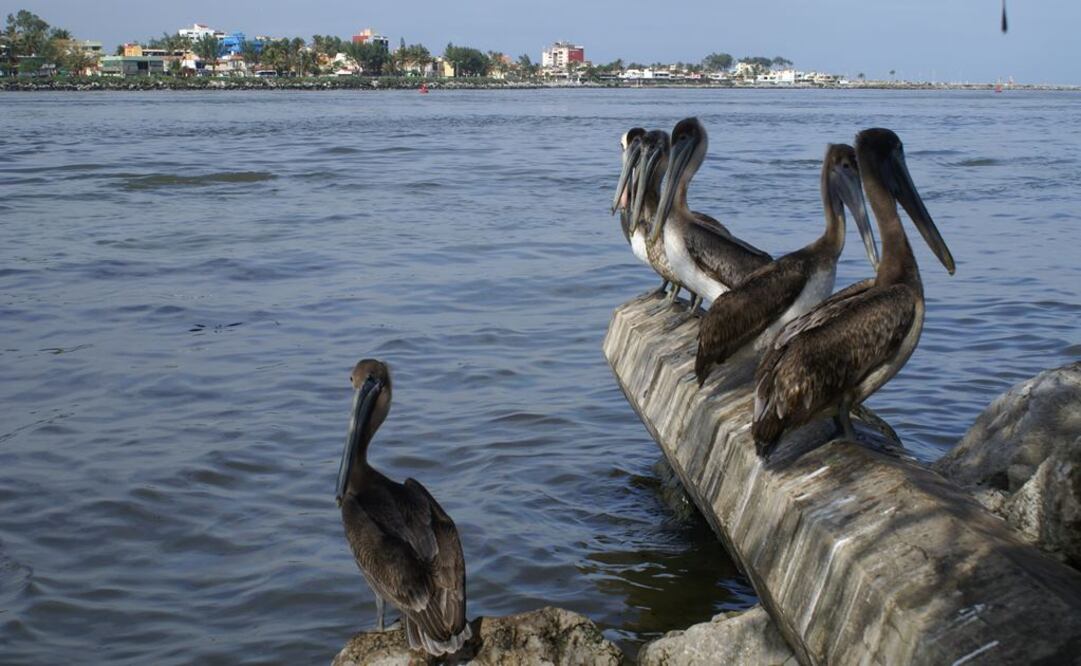 Chubascos con tormentas se esperan en oriente, centro y sureste del país