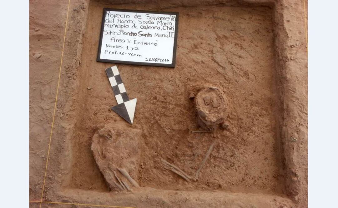 El esqueleto fue hallado en las llanuras de la Sierra Madre Occidental, casi sobre la superficie. El entierro data del periodo Arcaico Tardío (1100-1200 a.C.). FOTO: Emiliano Gallaga