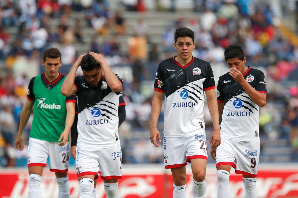 Imago7. Lobos BUAP