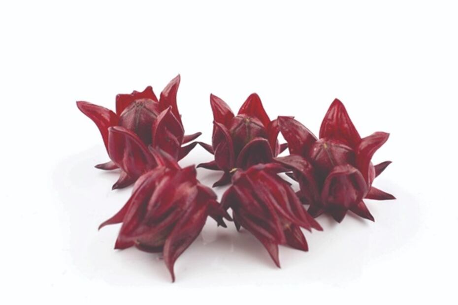 La jamaica podría ayudar a reducir el colesterol