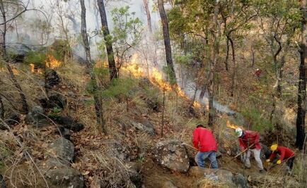 Reportan incendio forestal en cerro de Valle de Bravo
