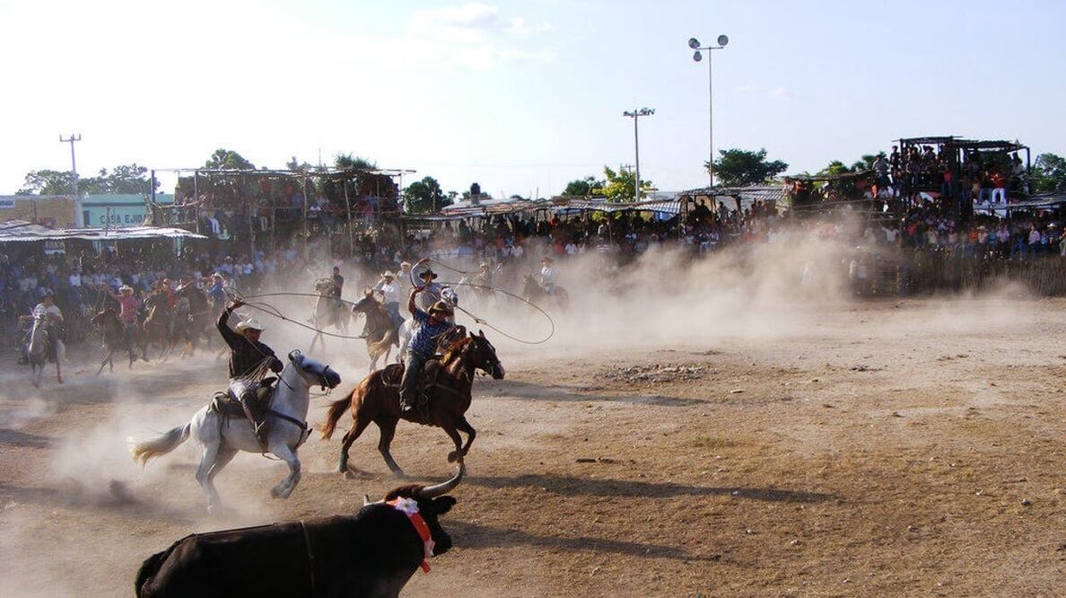 Foto: Especial / El PVEM denunció que no hay consenso en Yucatán para que los diputados aprueben la prohibición de los torneos de lazo