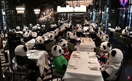 Por pandemia, reemplazan a clientes con osos de peluche en restaurante de Alemania