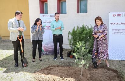 En Hidalgo lanzan programa de reforestación para preservar especies en peligro