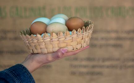 ¿Cuántas calorías tiene un huevo de gallina?