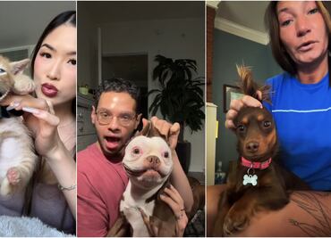 24k Gold Labubu: ¿en qué consiste el nuevo trend de TikTok?; videos de mascotas se viralizan