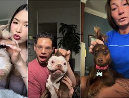 24k Gold Labubu: ¿en qué consiste el nuevo trend de TikTok?; videos de mascotas se viralizan