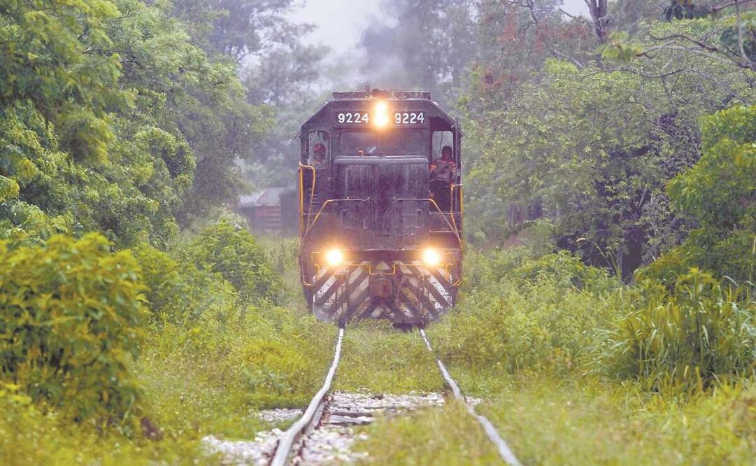 Foto: Archivo El Universal