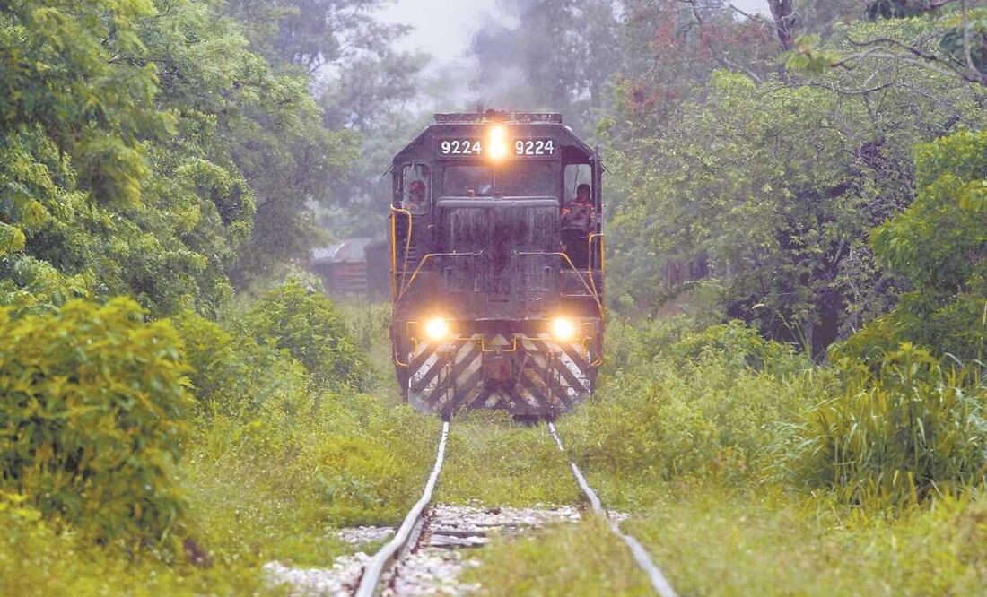 Foto: Archivo El Universal