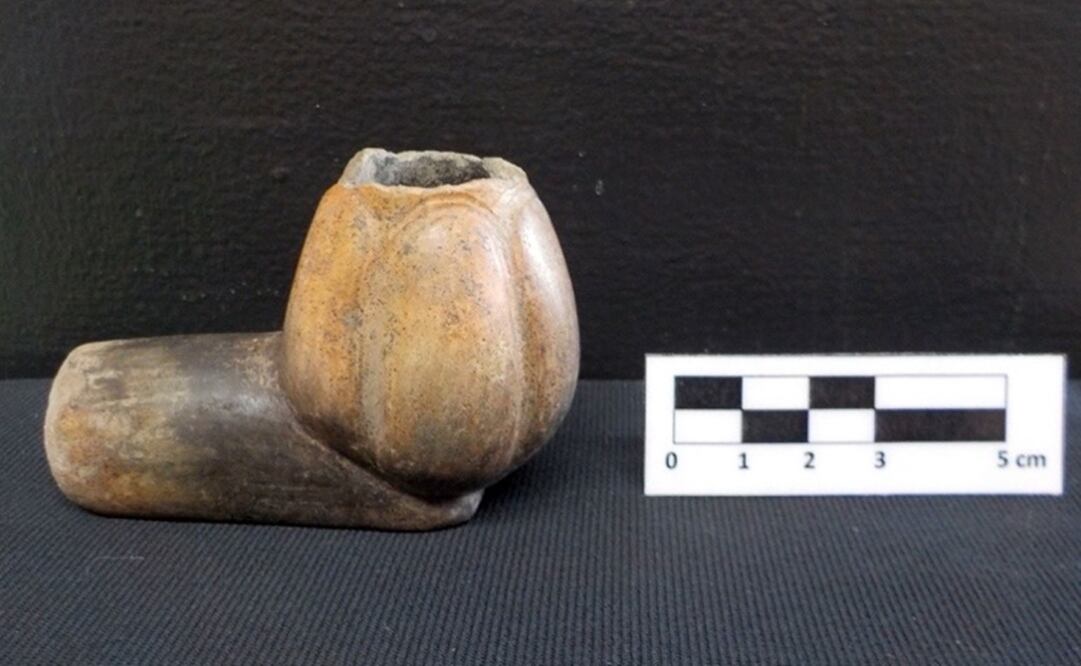 Pipa fitomorfa. Foto: Cortesía INAH