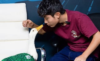 Pato Merlín ya es una marca registrada que sólo beneficiará a México y “no a empresas extranjeras”  