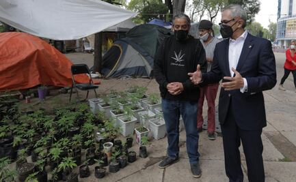 Mancera visita campamento de activistas pro-marihuana frente a Senado