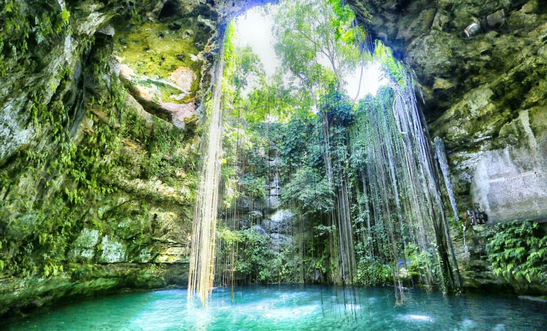 Para los mayas, los cenotes eran una entrada al inframundo. Foto: iStock