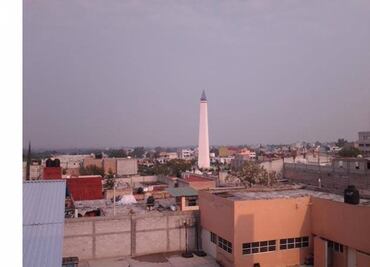 En alerta en Hidalgo tras avistamiento de pumas