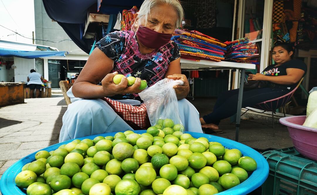 Foto: Roselia Chaca/ EL UNIVERSAL