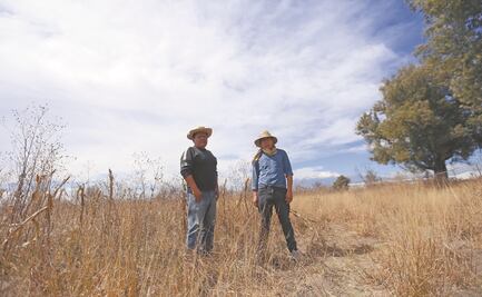 Baleados y sin justicia. Así asesinaron a los activistas mexicanos en 2019