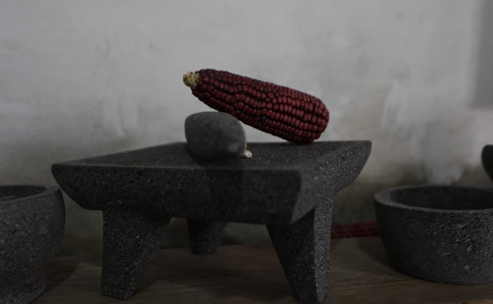 El colectivo Tixinqui busca rescatar el tallado tradicional y convertirlo nuevamente en una fuente de ingresos para la comunidad. (07/06/26) Foto: Alberto González