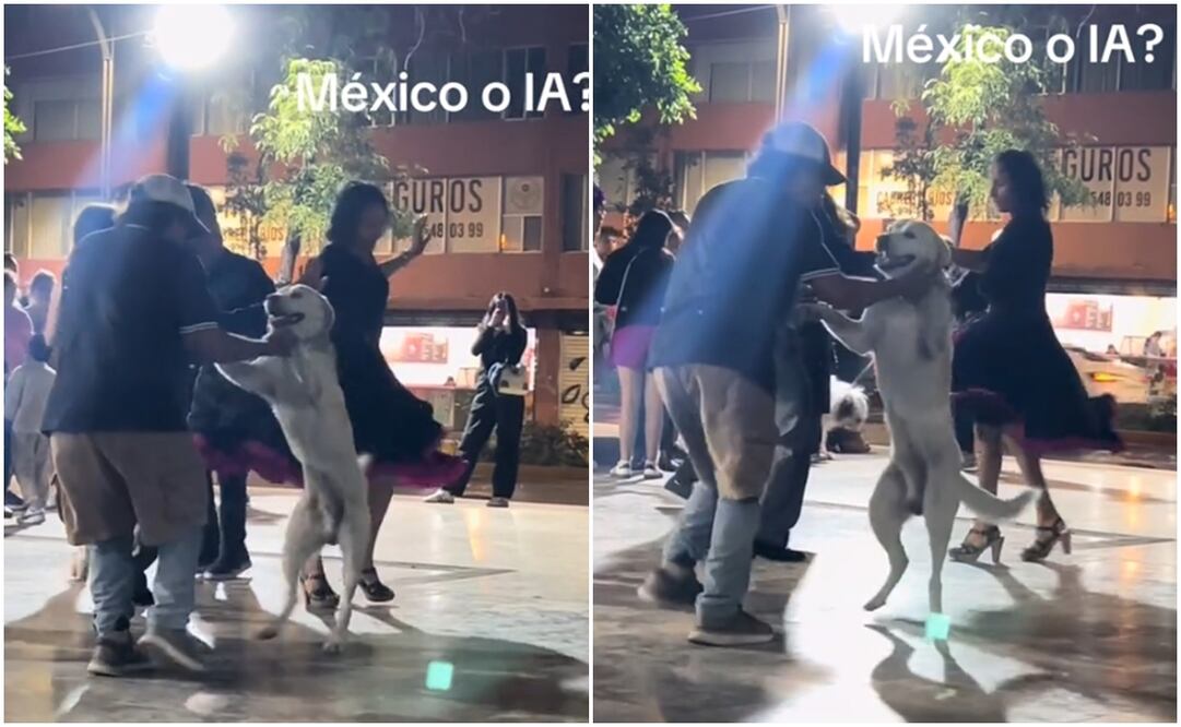 Una vez más, el ingenio y la creatividad mexicana volvieron a sorprender a miles de usuarios en redes sociales
Foto: Captura de pantalla en TikTok 