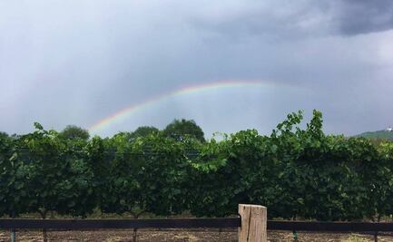 Disfruta de una copa de vino mientras disfrutas de un atardecer, o la puesta de un arcoiris